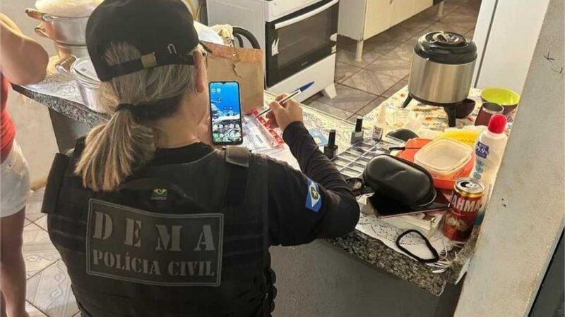 Polícia Civil cumpre mandados contra associação criminosa atuante na extração ilegal de madeira