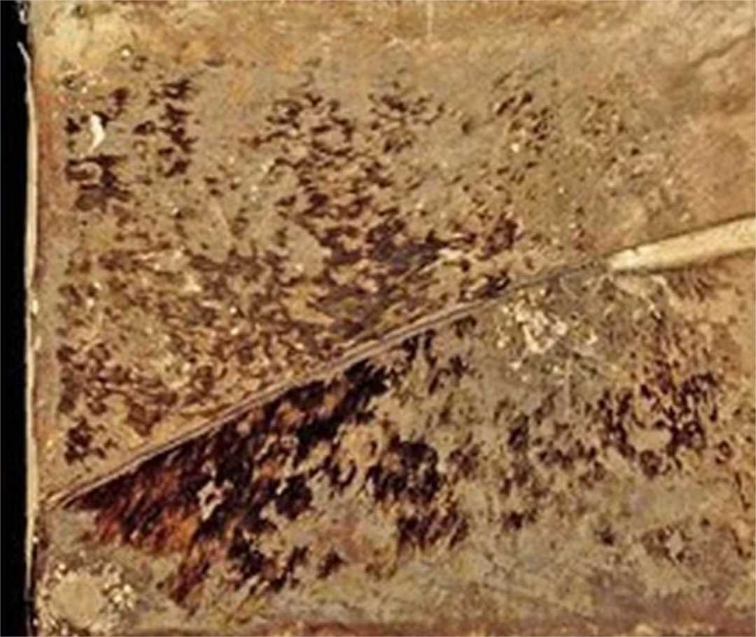 Descobertos na França livros medievais encapados com pele peluda misteriosa