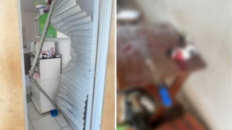 Irmãos bêbados invadem casa e matam filhote de gato decapitado