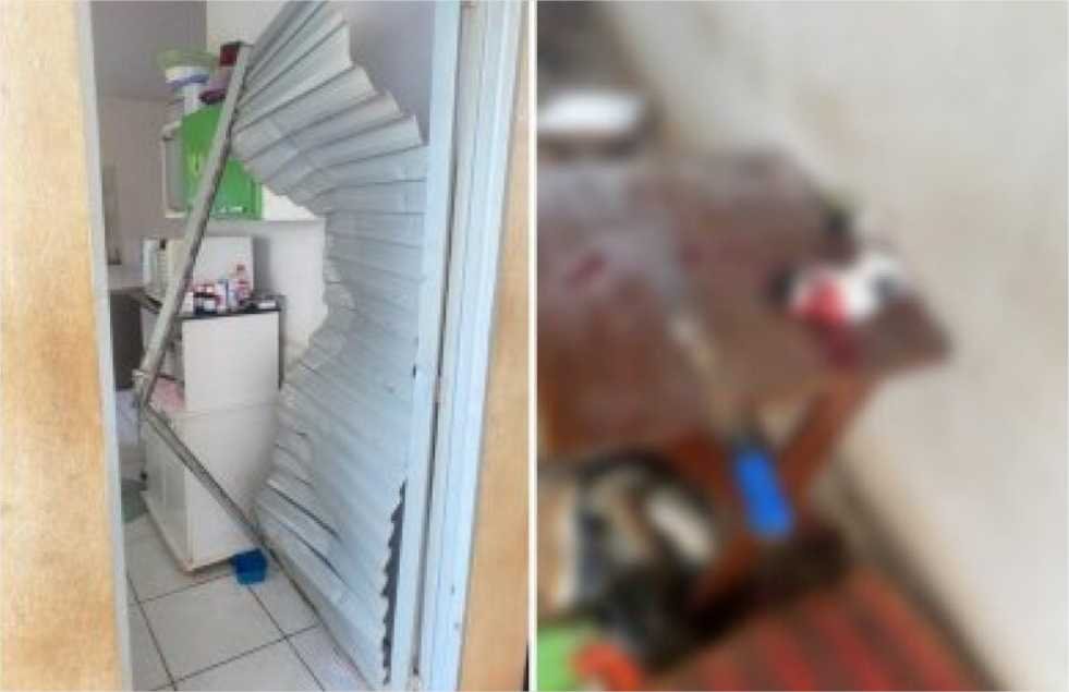 Irmãos bêbados invadem casa e matam filhote de gato decapitado