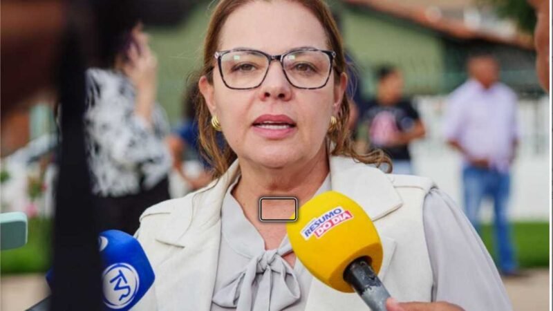 Paula: “Câmara não está aqui para ser uma objeção para o Executivo”