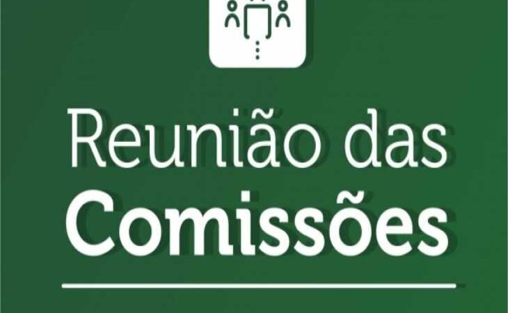 Comissões de Meio Ambiente e Urbanismo e de Segurança Pública aprovam projetos do Executivo