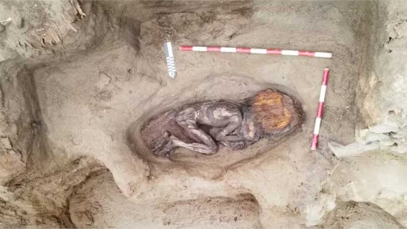 Bico de tucano e mais: os tesouros enterrados nesta tumba de 5 mil anos do Peru