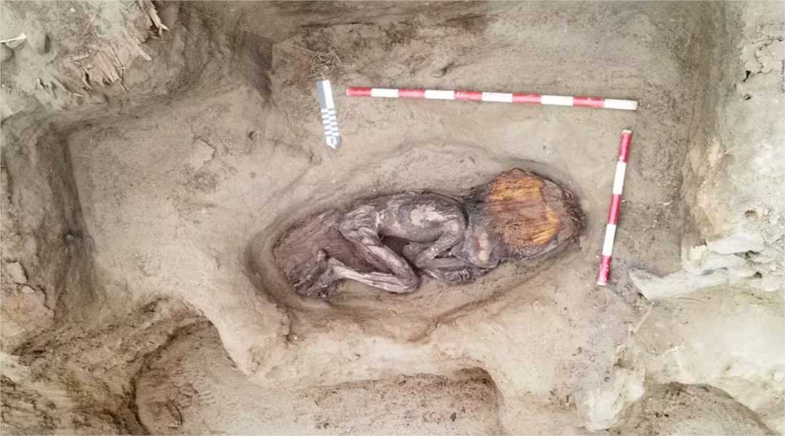 Bico de tucano e mais: os tesouros enterrados nesta tumba de 5 mil anos do Peru