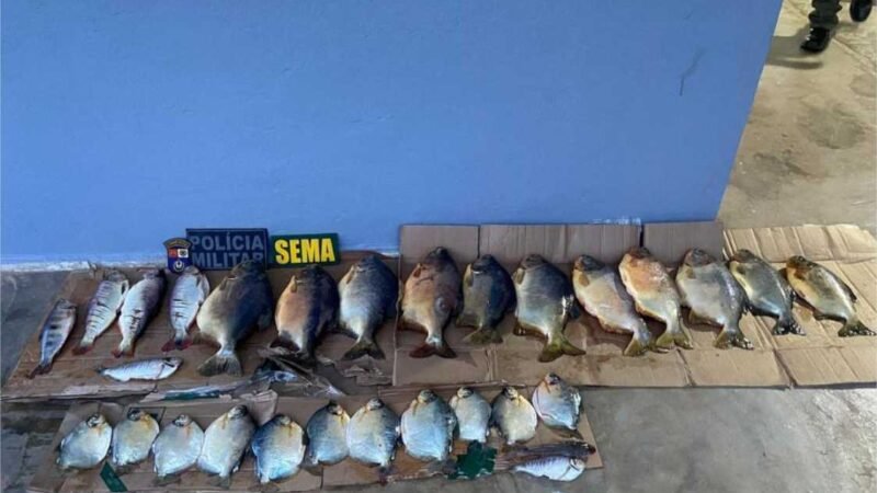 Sema apreende 38 kg de pescado irregular e aplica multa de R$ 8,8 mil a infrator