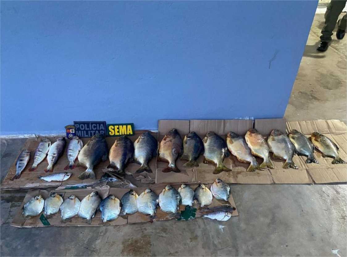 Sema apreende 38 kg de pescado irregular e aplica multa de R$ 8,8 mil a infrator