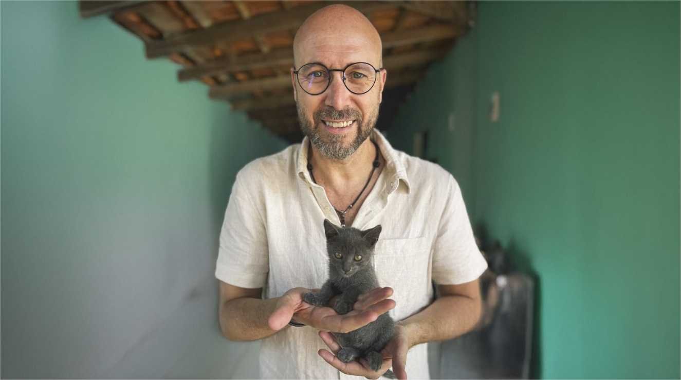 Beto apresenta PL que prevê cassar CNH de quem abandonar animais em vias públicas