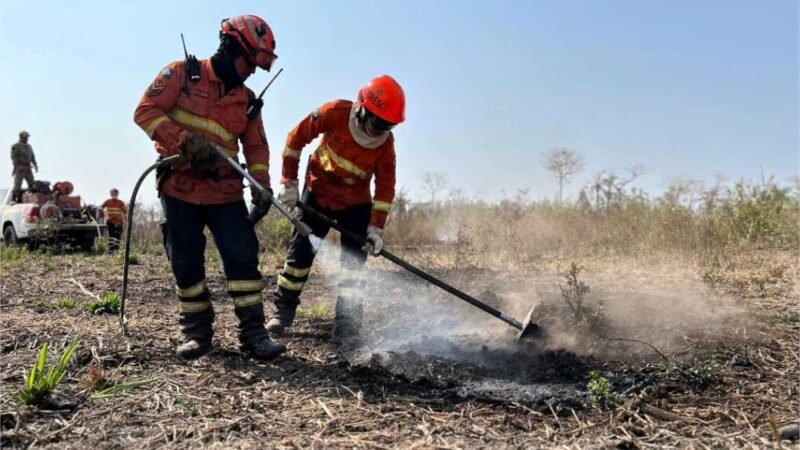 Período proibitivo do uso do fogo no Pantanal começa no dia 1º de junho