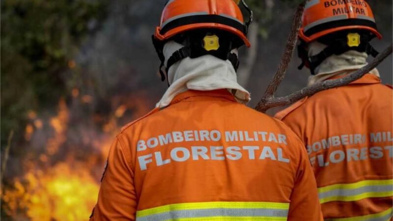 Inscrições do seletivo para o 7º Curso de Prevenção e Combate a Incêndios Florestais encerram nesta sexta-feira (9)