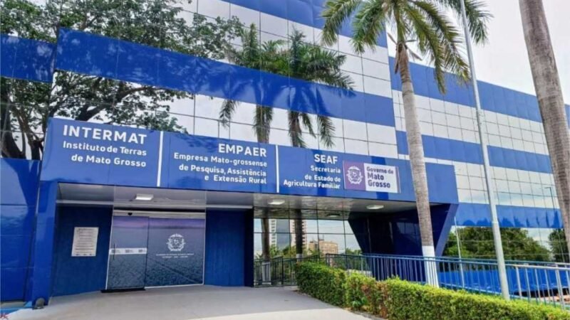 Mulheres lideram mais de 80% dos projetos do Fundo de Apoio à Agricultura Familiar