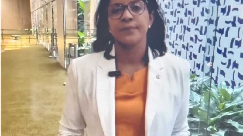 ‘Não posso ser a favor de um PL que vai onerar em R$ 64 milhões, os cofres públicos’, diz Gisela sobre voto contra aumento de deputados