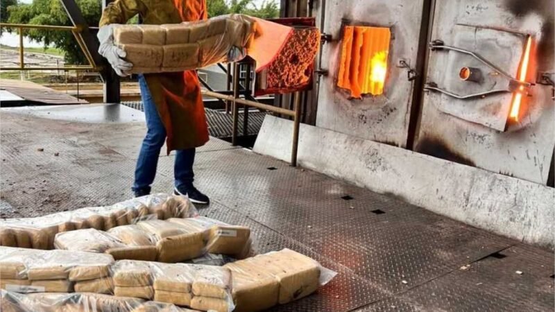 Polícia Civil incinera quase meia tonelada de drogas apreendidas em Alto Araguaia e Alto Garças