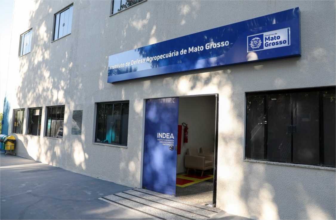 Exame descarta suspeita de gripe aviária em Mato Grosso