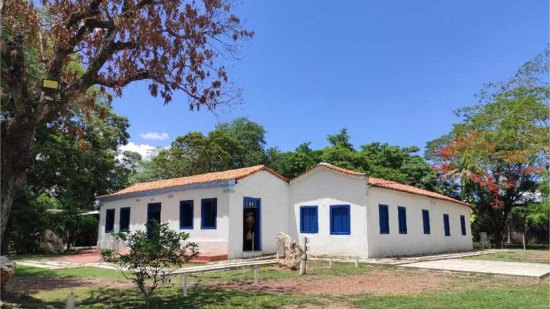 Secel seleciona organização para gestão compartilhada do Museu de História Natural