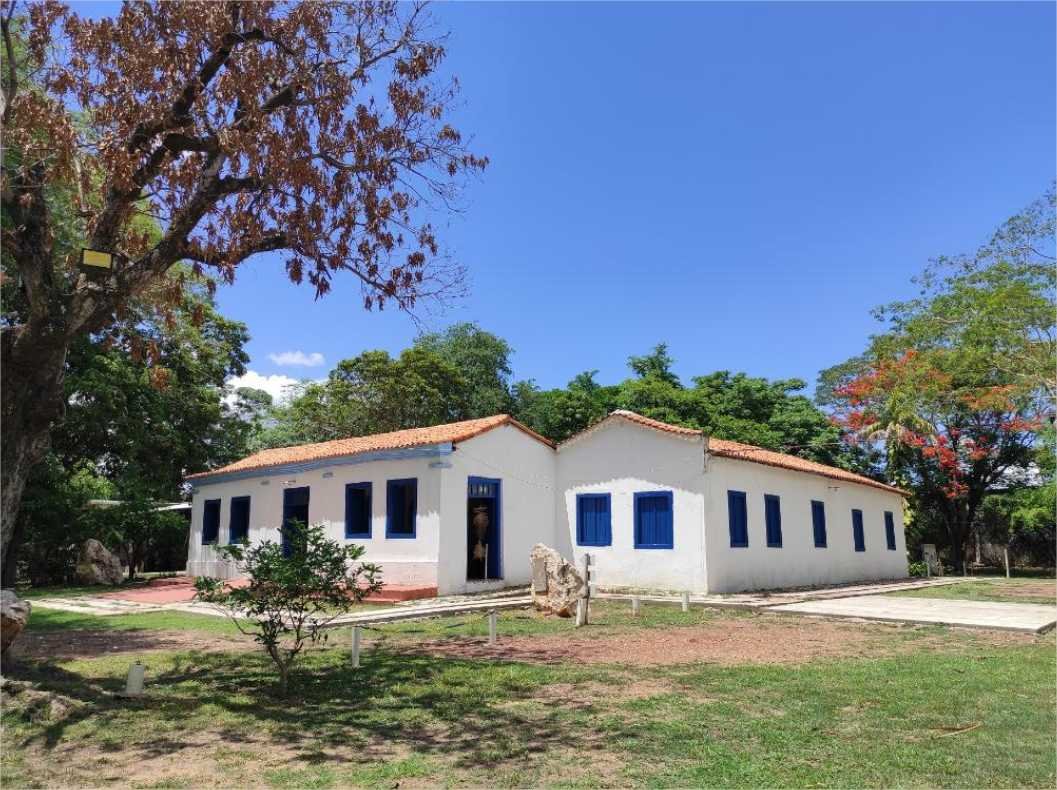 Secel seleciona organização para gestão compartilhada do Museu de História Natural