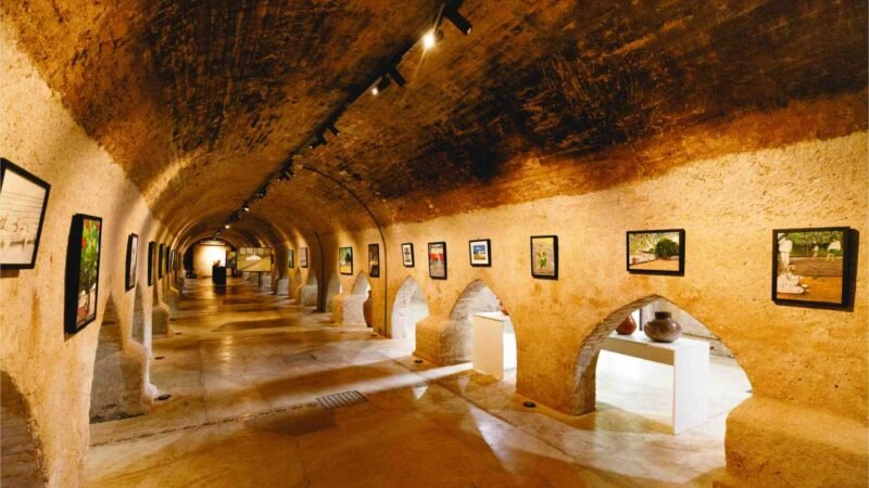 Museu do Morro da Caixa D’Água Velha recebe exposição sobre saúde mental