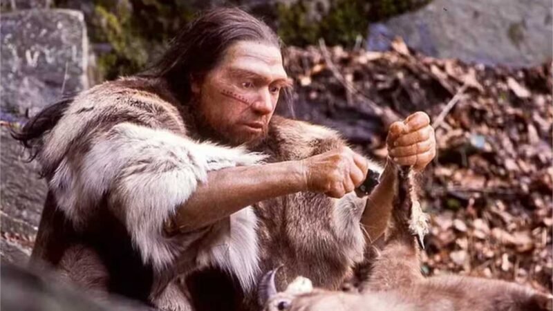 Neandertais usavam as lanças de madeira mais antigas do mundo para caçar cavalos há 200 mil anos