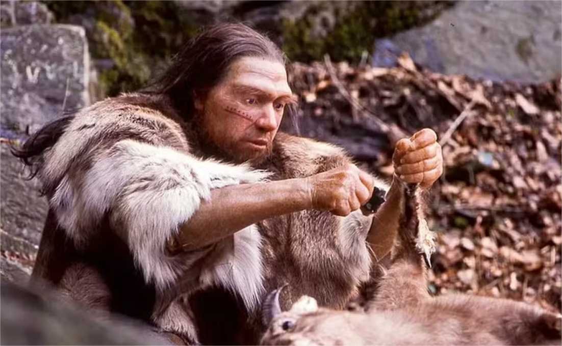 Neandertais usavam as lanças de madeira mais antigas do mundo para caçar cavalos há 200 mil anos