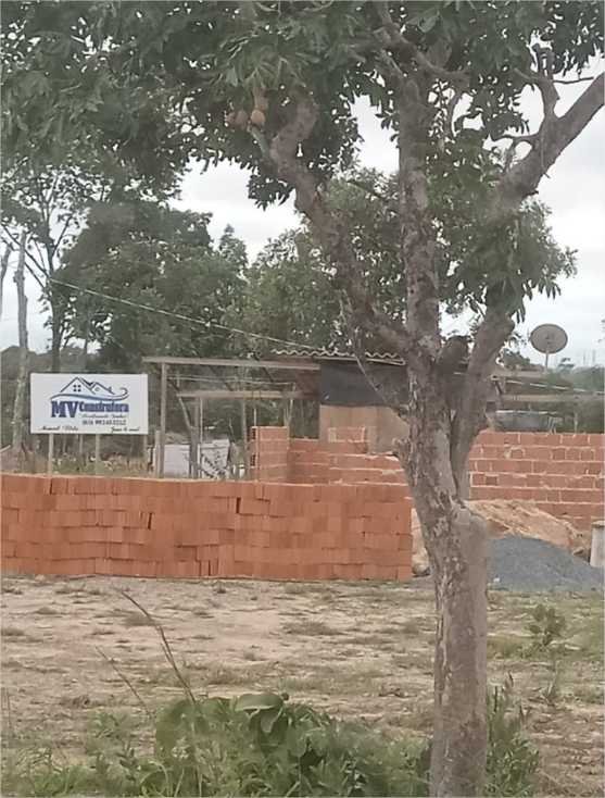 Relatório aponta que apenas 6% das famílias invasoras no Contorno Leste estão em situação de vulnerabilidade