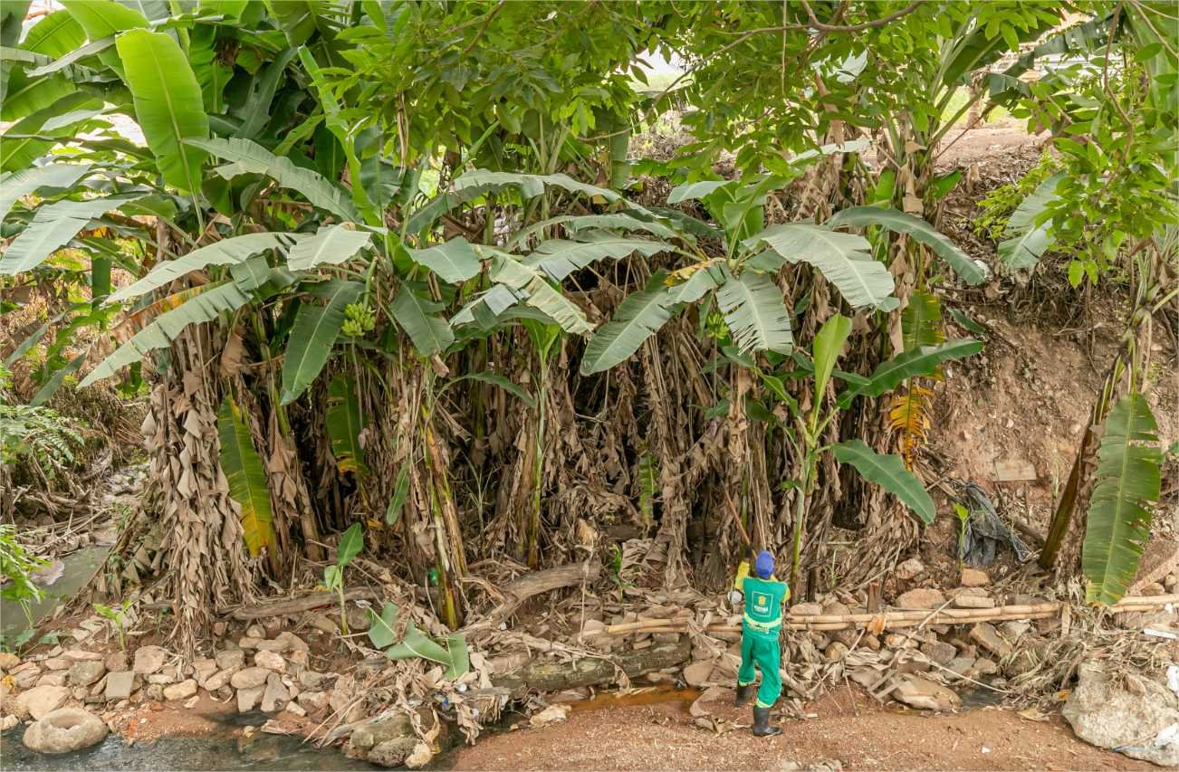 Prefeitura mobiliza ação e retira 10 toneladas de lixo em córrego