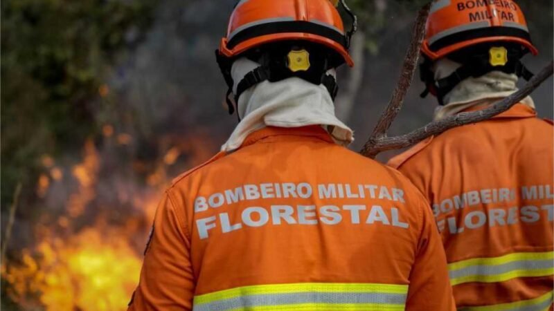Uso do fogo em área do Pantanal está proibido a partir deste domingo (1º)