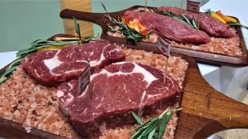 Congresso Mundial de Carnes será lançado nesta terça-feira (3) em Cuiabá