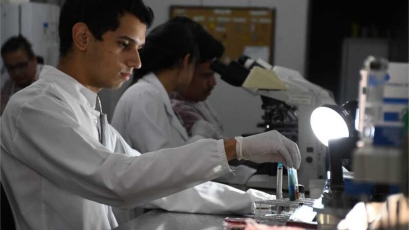 Pesquisadores desenvolvem sistema rápido para diagnóstico da resistência à antibióticos