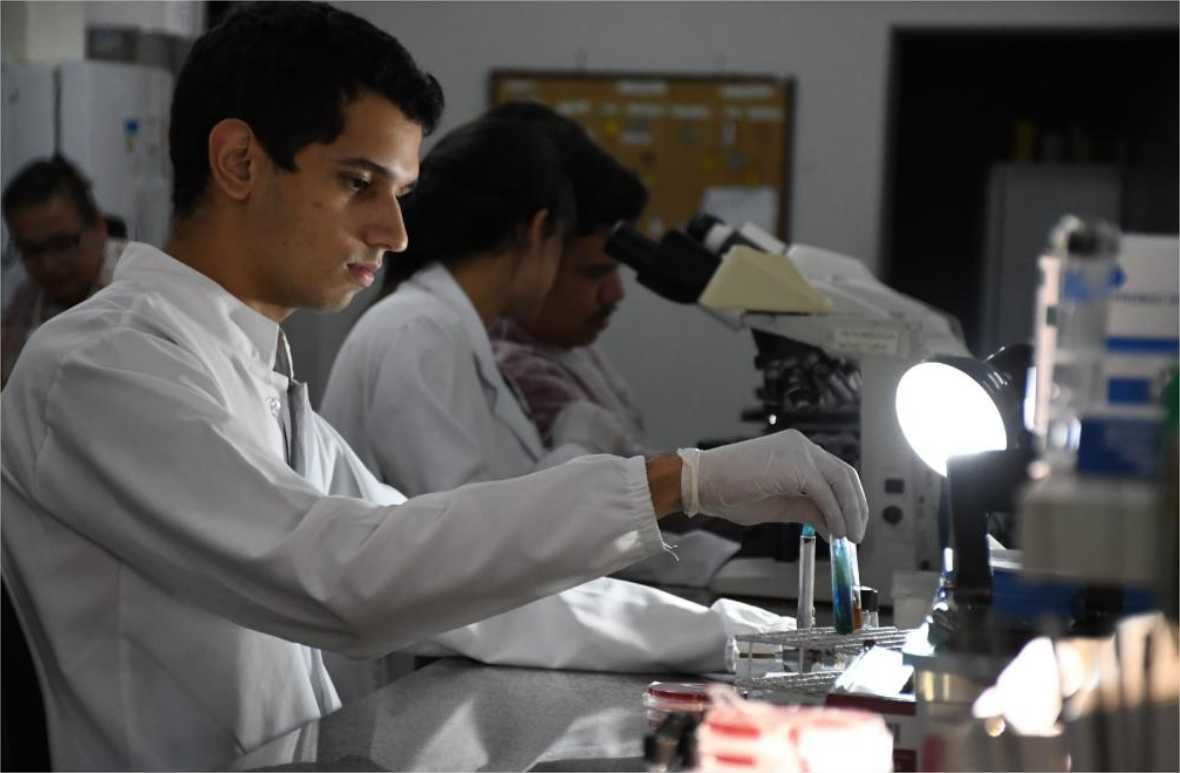 Pesquisadores desenvolvem sistema rápido para diagnóstico da resistência à antibióticos