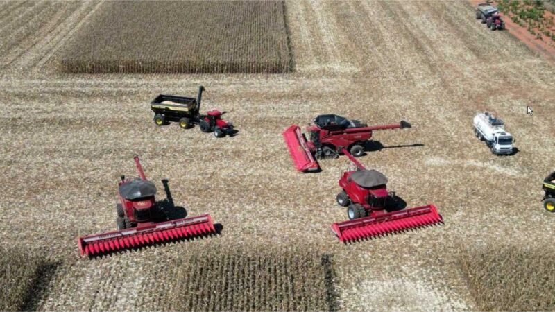 Mato Grosso dá início à colheita da segunda safra nacional de milho