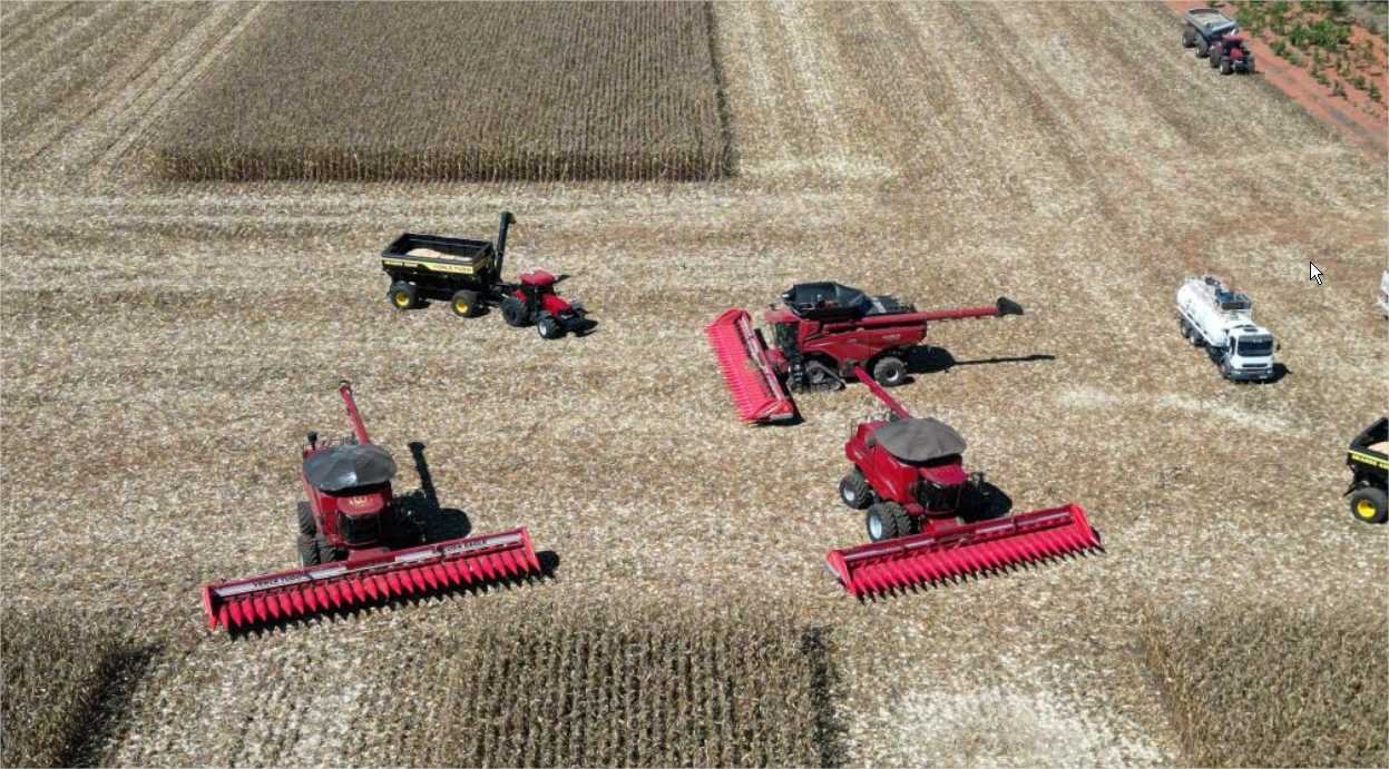 Mato Grosso dá início à colheita da segunda safra nacional de milho