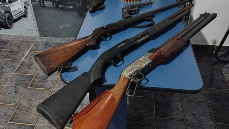 Polícia Militar apreende armas de fogo, munições e prende mulher por porte ilegal