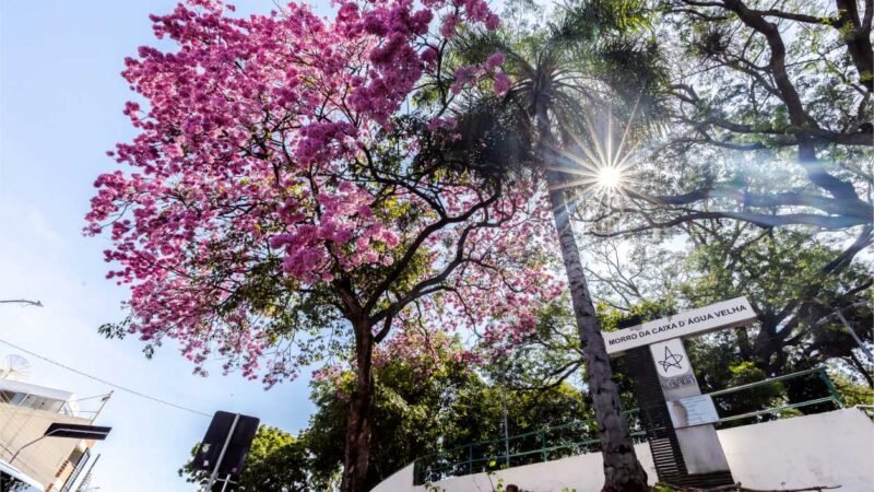 Museus, Aquário e Feira Viva estarão abertos no feriado de Corpus Christi