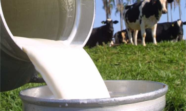 Empaer e Seaf promovem Dia de Campo sobre produção de leite com foco em práticas sustentáveis