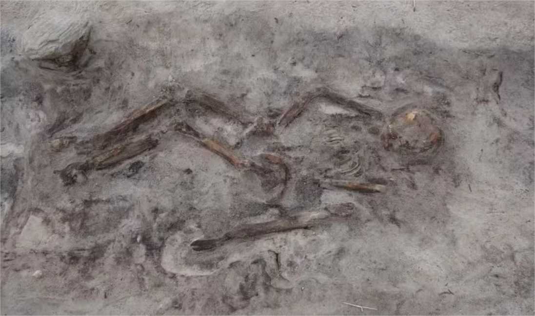 Encontrado túmulo de mulher viking enterrada com seu cachorro; fotos