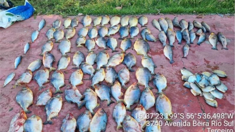 Polícia Militar prende homem com 112 unidades de pescado irregular em Cuiabá