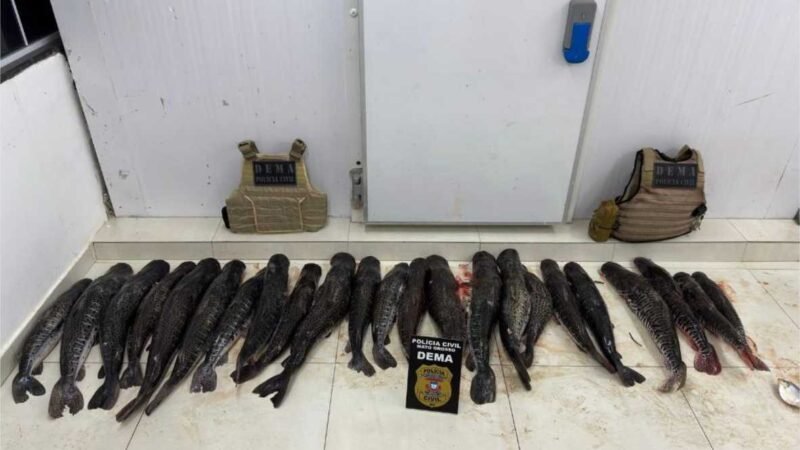 Polícia Civil apreende 124 quilos de pescado ilegal em propriedade rural em Barão de Melgaço