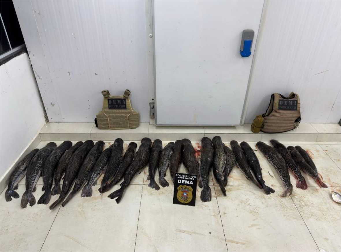 Polícia Civil apreende 124 quilos de pescado ilegal em propriedade rural em Barão de Melgaço
