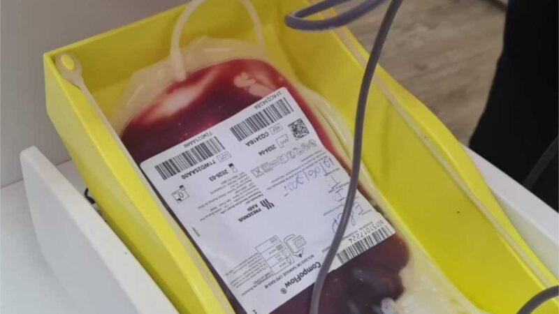 MT Hemocentro atende mais de 500 pacientes com a doença falciforme