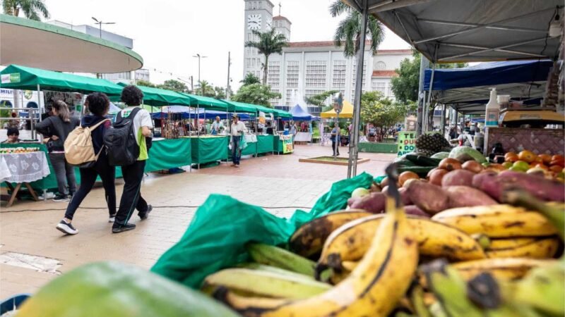 Feira da Agricultura Familiar de Cuiabá ganha novidades e atrai público