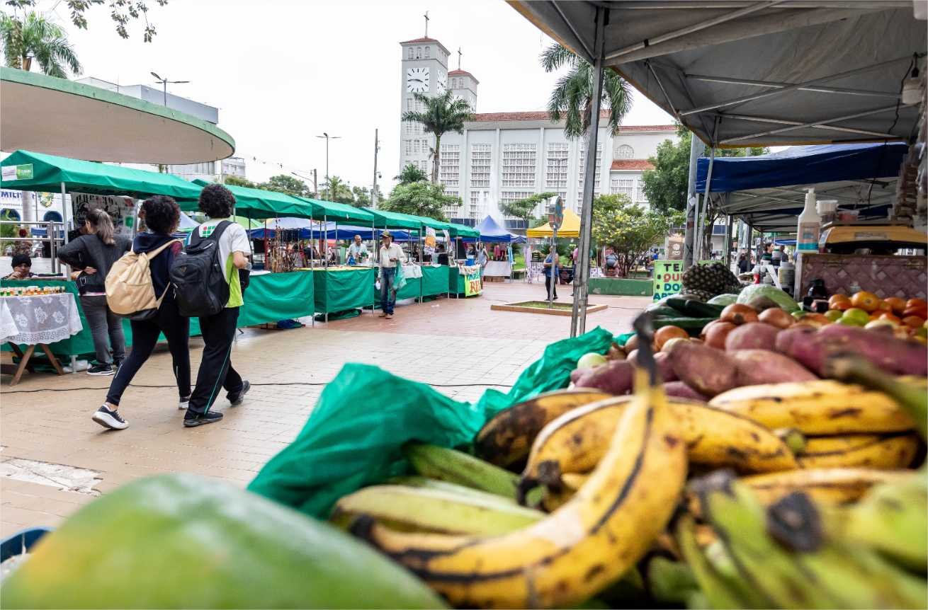 Feira da Agricultura Familiar de Cuiabá ganha novidades e atrai público