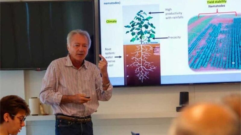 AMPA e representantes globais do setor têxtil debatem produção sustentável de algodão