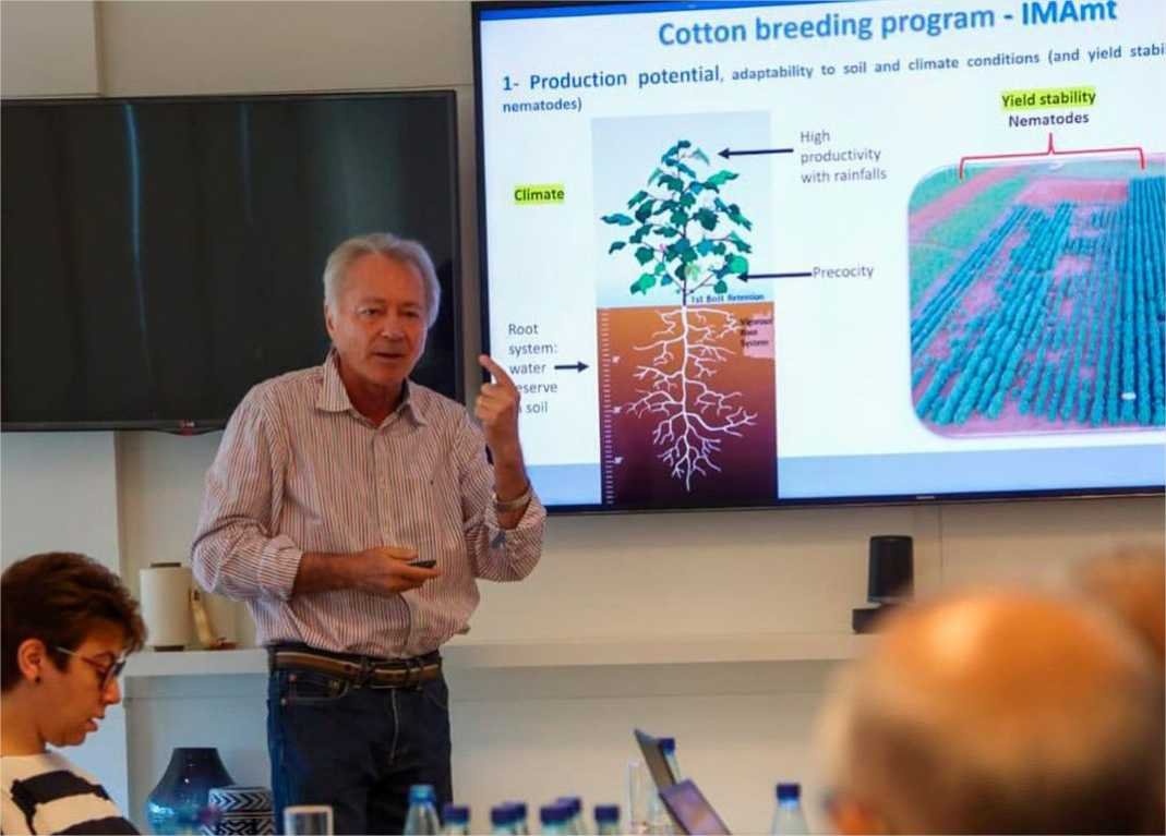 AMPA e representantes globais do setor têxtil debatem produção sustentável de algodão