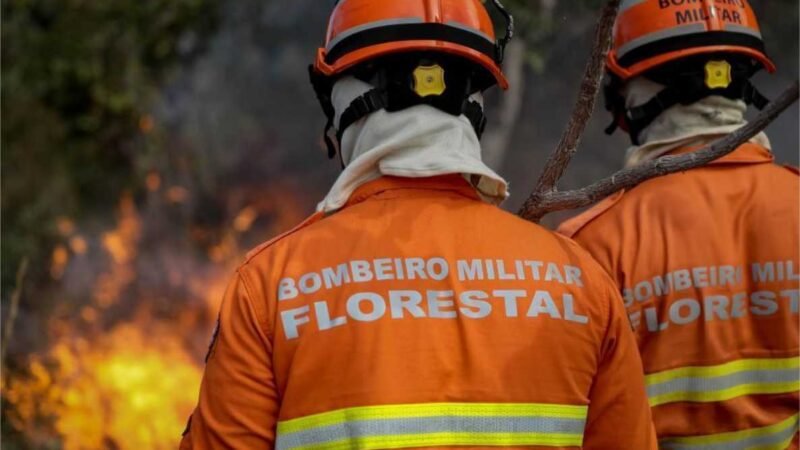 Uso do fogo no Cerrado e na Amazônia está proibido a partir desta terça-feira (1º) em MT