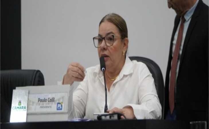 Paula Calil apresenta projeto de combate à violência contra a mulher no comércio de Cuiabá