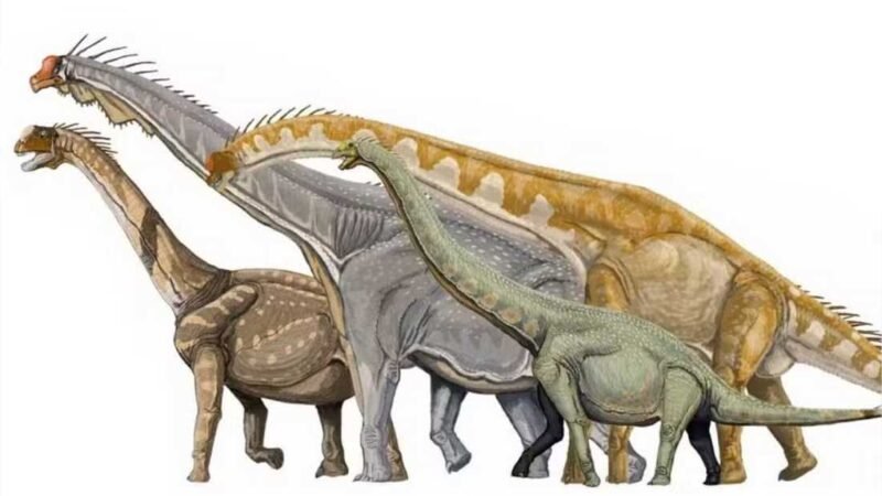 O que comiam os maiores dinossauros do mundo? Estudo investigou