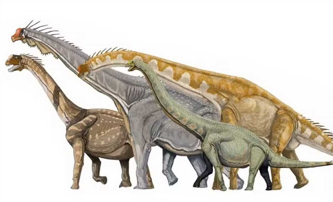 O que comiam os maiores dinossauros do mundo? Estudo investigou