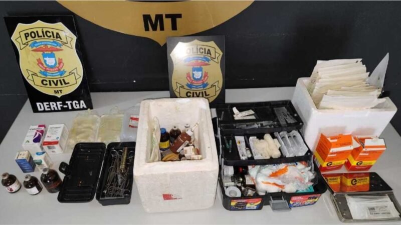 Homem investigado por castração clandestina de gatos é preso pela Polícia Civil