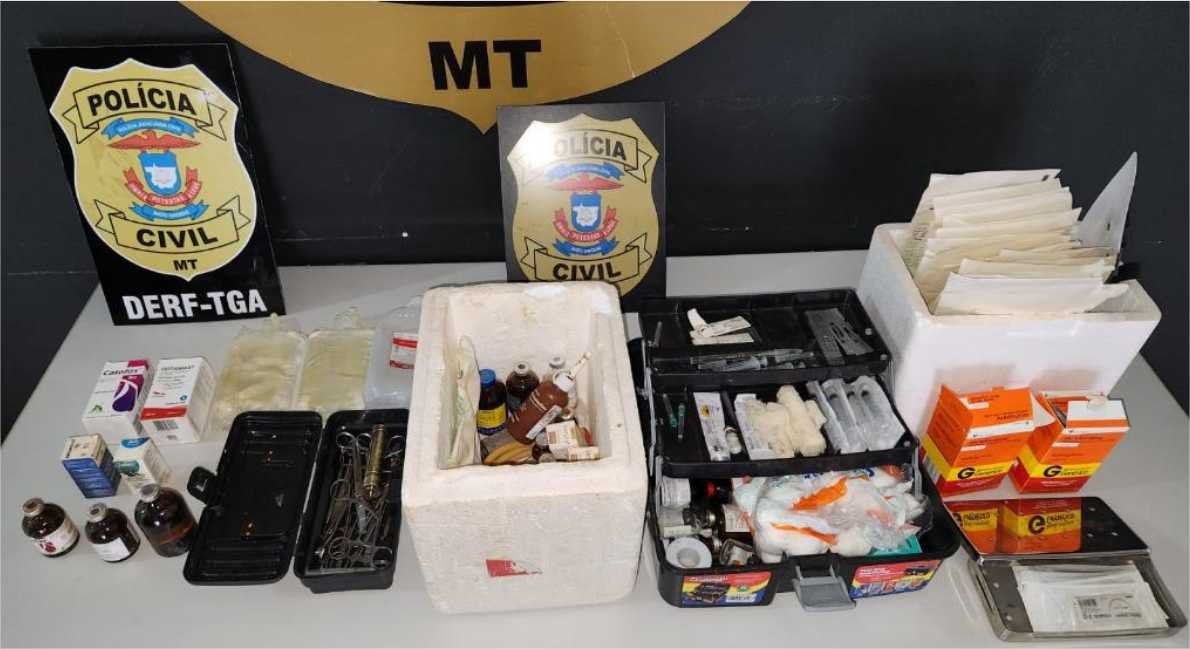 Homem investigado por castração clandestina de gatos é preso pela Polícia Civil