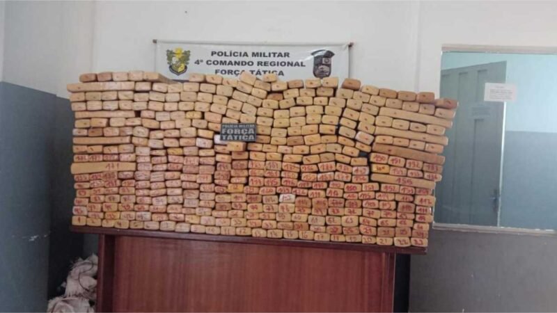 Força Tática tira de circulação 391 tabletes de maconha em Rondonópolis; drogas apreendidas pesam cerca de 490 kg