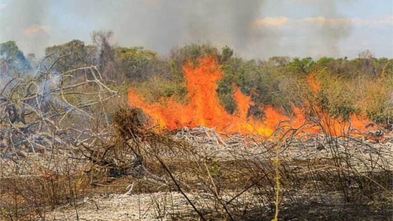 Polícia Militar prende homem por provocar incêndio em zona rural de Vila Rica